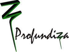 20120206091903-1296819871422-logoprofundiza.jpg